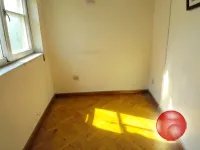 Моя мечта! Солнечная студия с видом на лес!