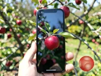 Участок под дачу, очень уютное место!
